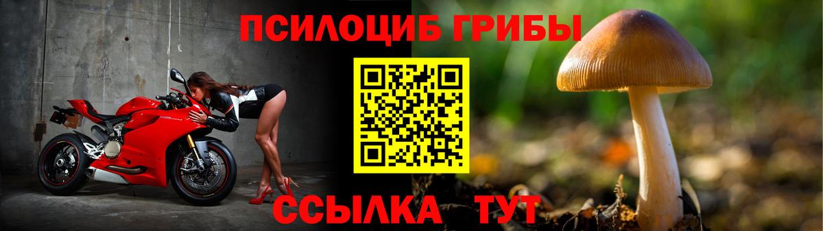 Галлюциногенные грибы Cubensis Кириши
